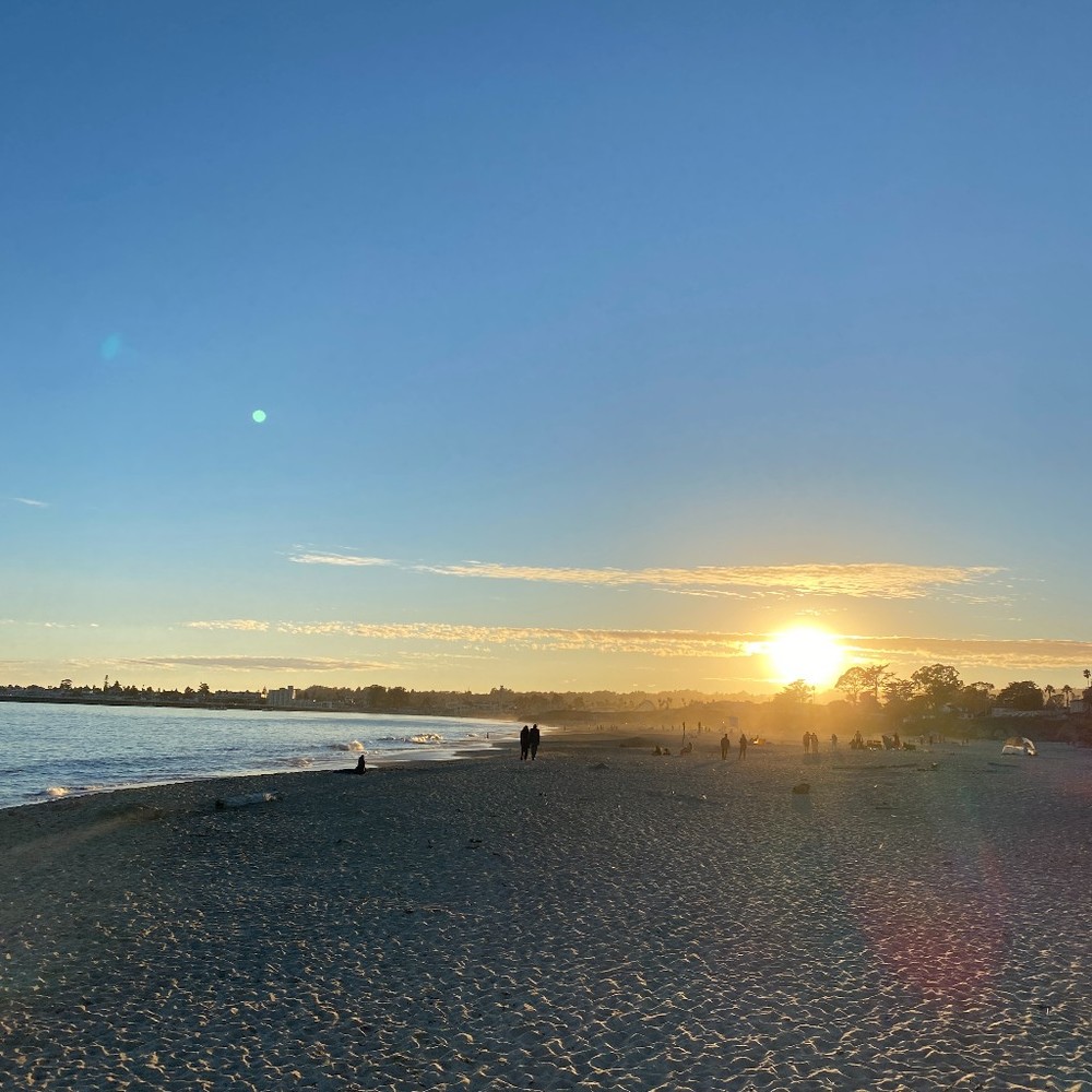 Meet your Posher, Bella